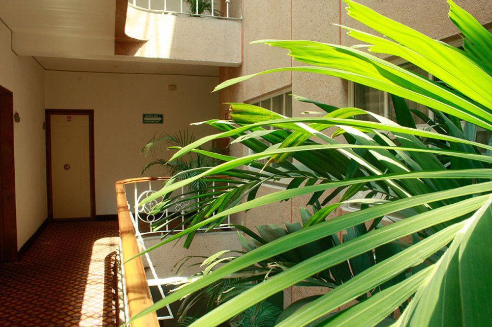 Hotel Mina Mexico Extérieur photo